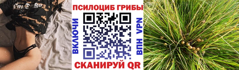 Галлюциногенные грибы мицелий  Купить где  Евпатория 